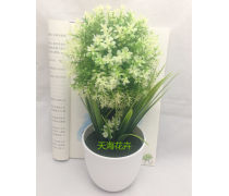 濟南盆景產品庫 奇石盆景的價格、圖片與廠家指南